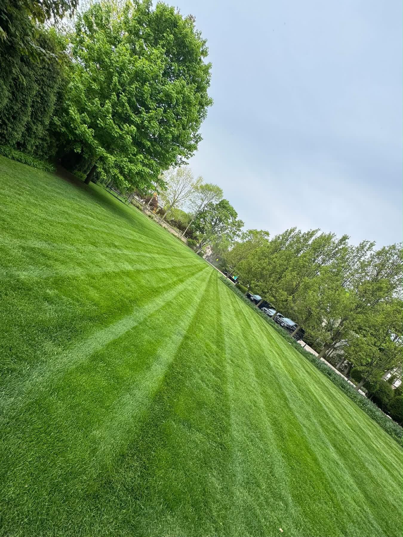 Clean lawn finish after mowing